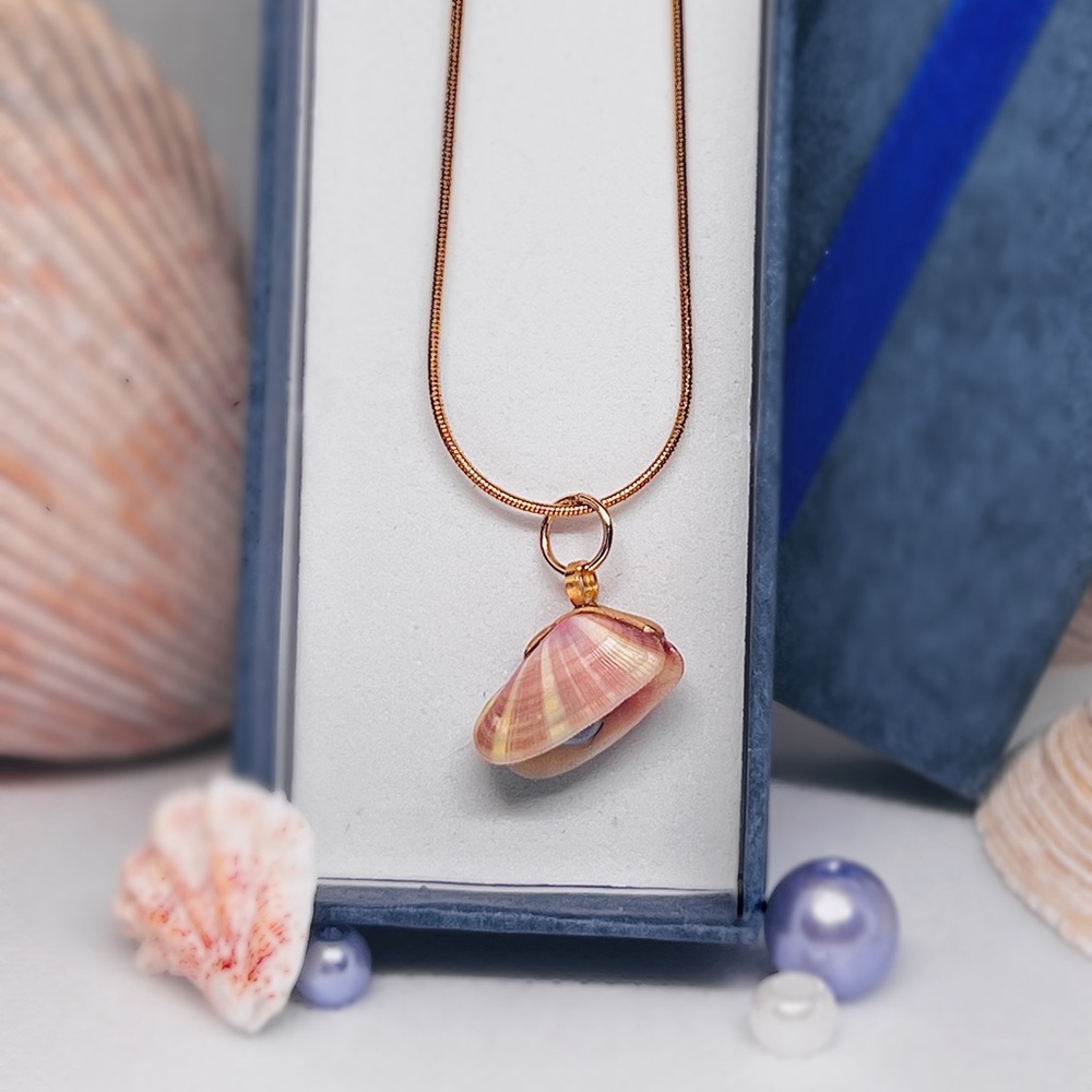Coquiña shell pendant necklace locket with pearl